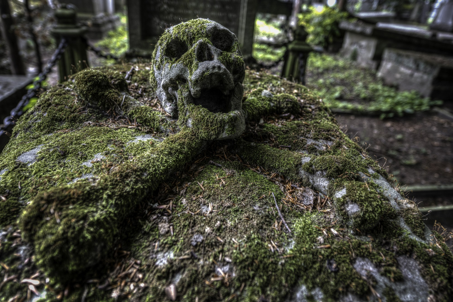skull, dead